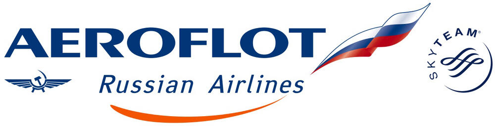 Ada yang tahu gak Skyteam itu apa?