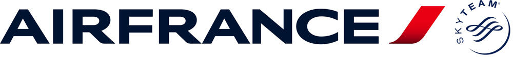 Ada yang tahu gak Skyteam itu apa?