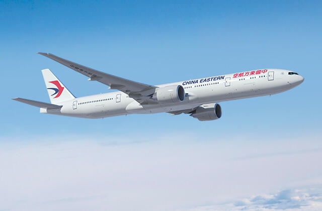 Ada yang tahu gak Skyteam itu apa?