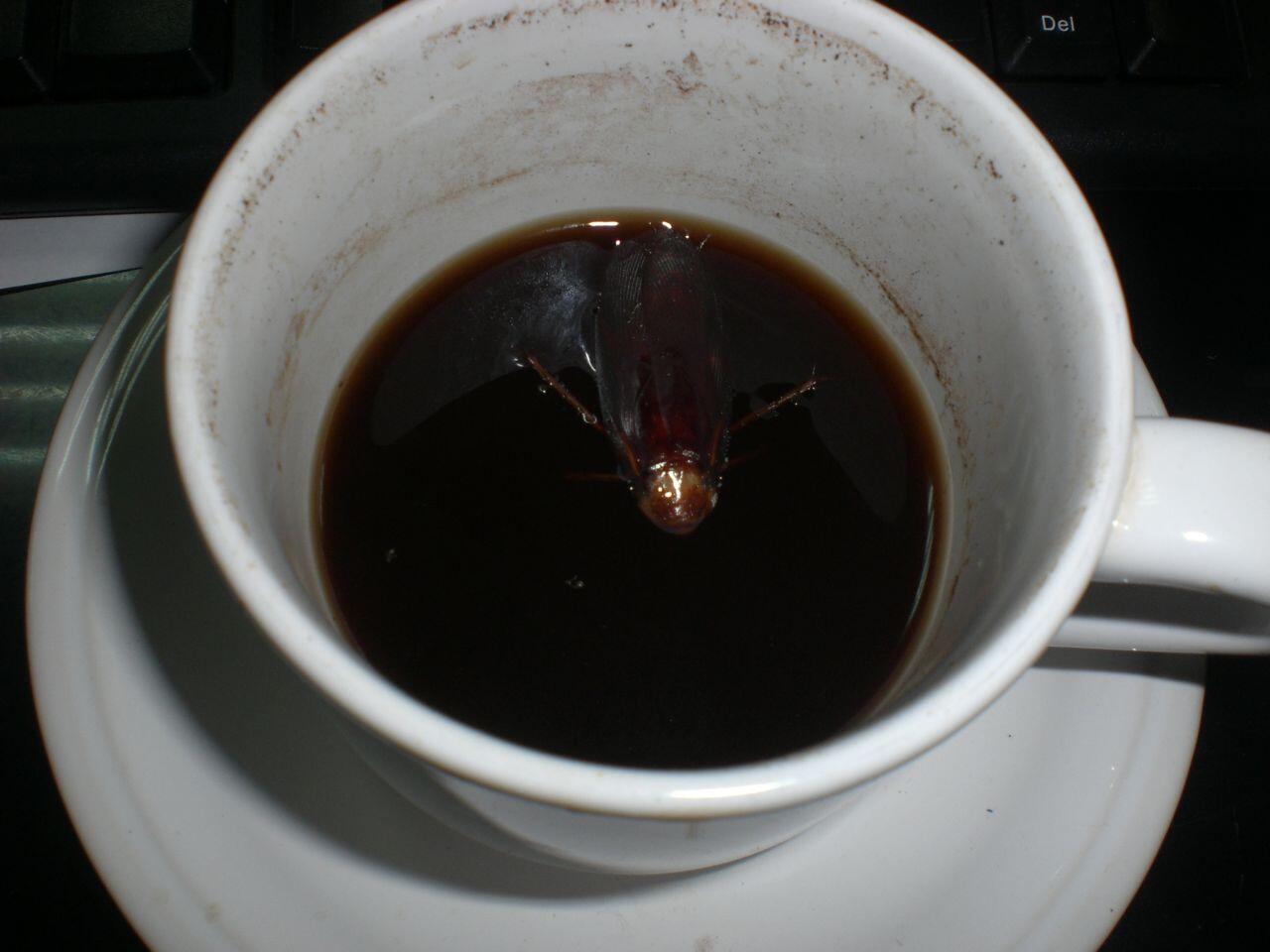 Hal-hal yang kurang mengenakkan ketika ngopi