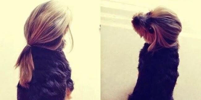 Rambut Indah!!! Coba Tebak Siapa Pemiliknya