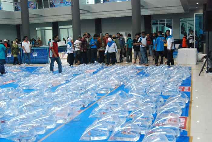 Sistem Penilaian &amp; Bobot Nilai dalam Penjurian Koi [Bocoran!]