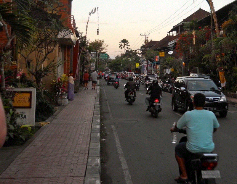 Menikmati Ubud dengan bersepeda! Serius Gan, wajib dicoba...
