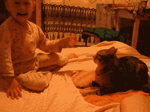 PERGULATAN ANAK MANUSIA DAN KUCING SAKTI "NYATA"