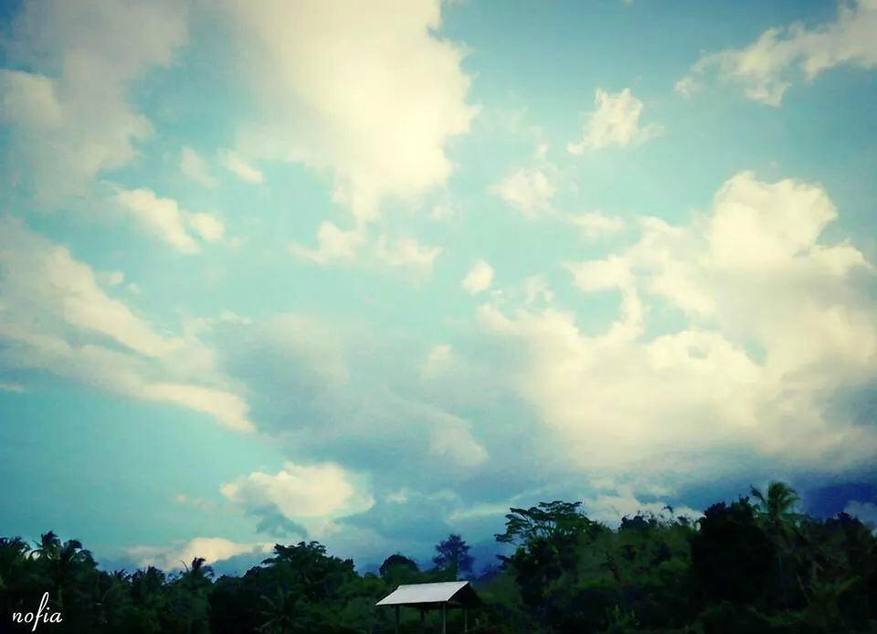 Percaya ga gan kalau ini cuma dari edit photo online ???