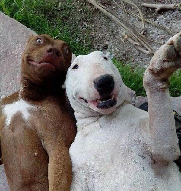 Perfect Timing in Crazy Moment