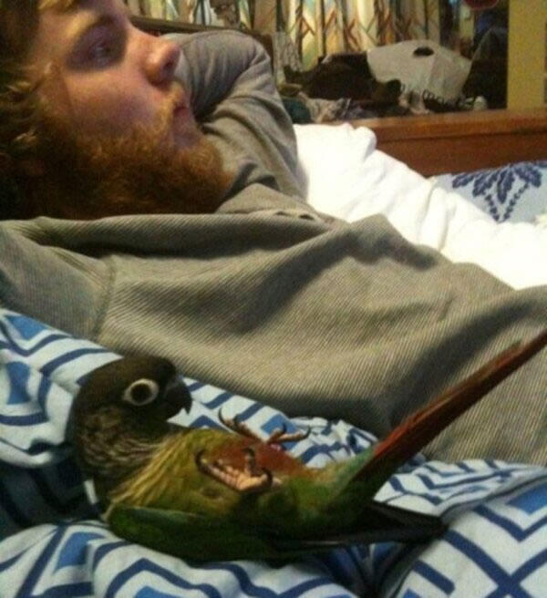 Perfect Timing in Crazy Moment