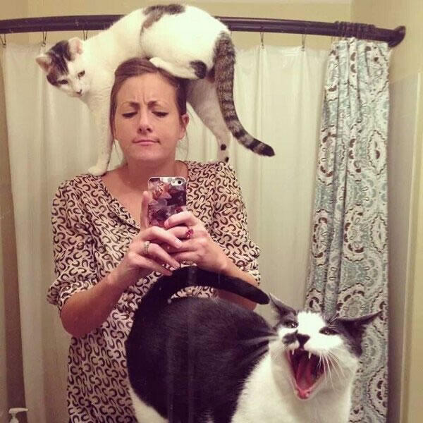Perfect Timing in Crazy Moment