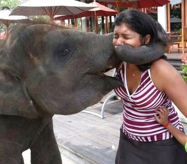 Perfect Timing in Crazy Moment