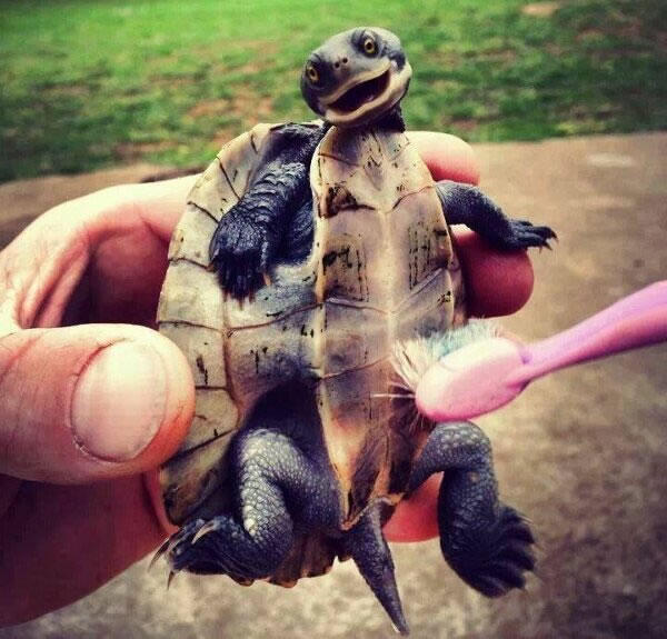 Perfect Timing in Crazy Moment