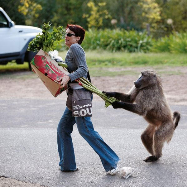 Perfect Timing in Crazy Moment