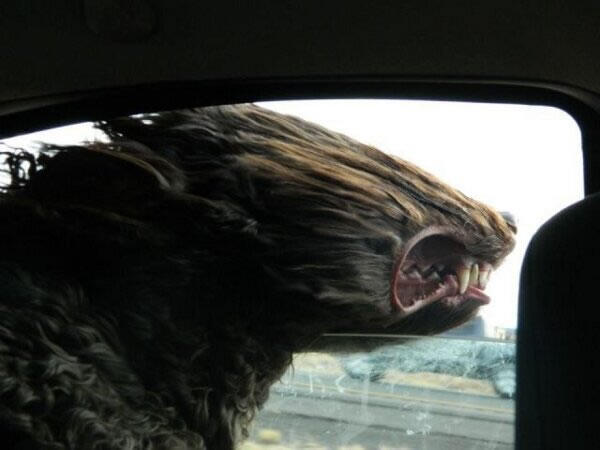 Perfect Timing in Crazy Moment