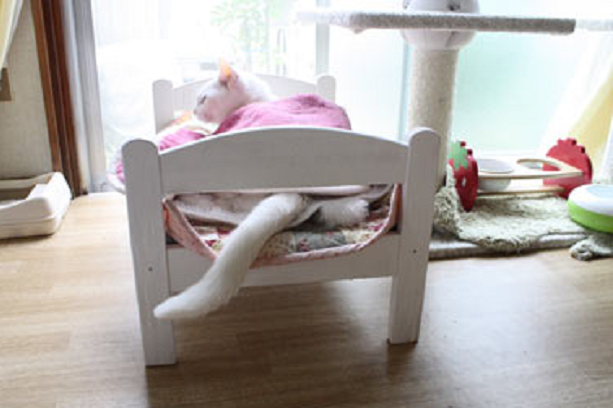 Kreatif! Tempat Tidur Boneka Dijadikan Tempat Tidur Kucing