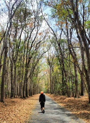 &#91;Nature&#93; : 25 Foto Pohon Menakjubkan Yang Belum Pernah Agan Lihat Sebelumnya