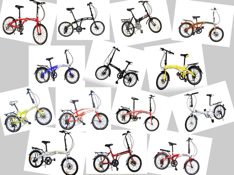Vivacycle Lounge