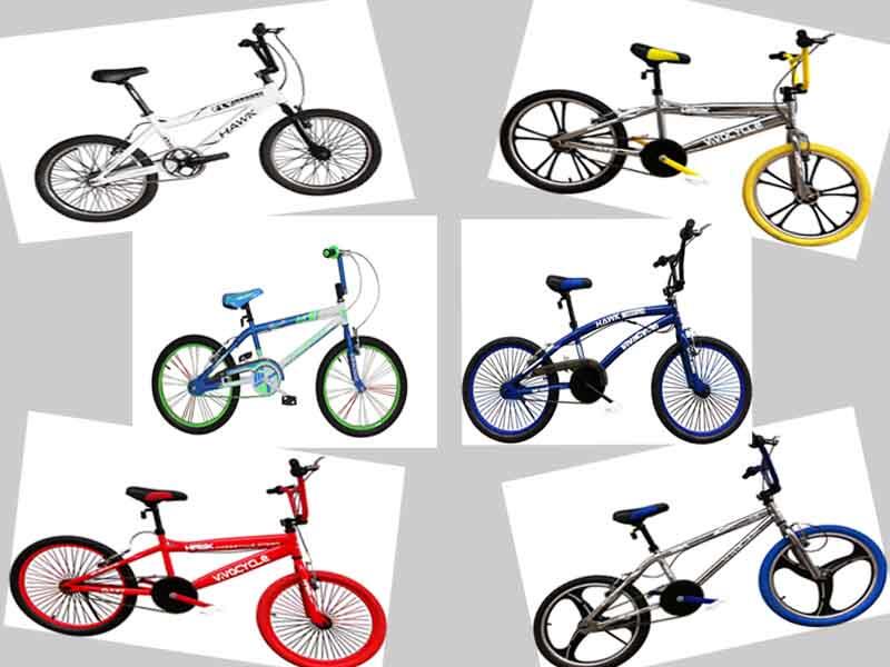 Vivacycle Lounge