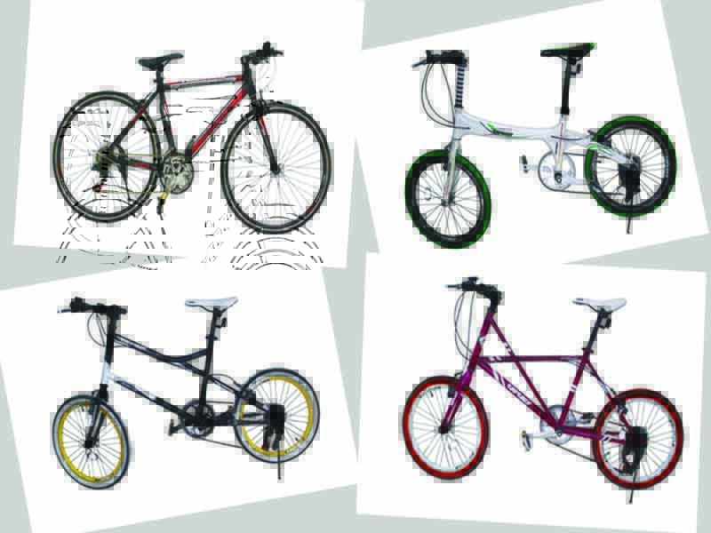Vivacycle Lounge