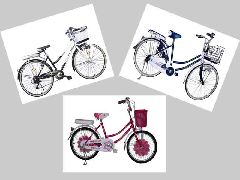 Vivacycle Lounge