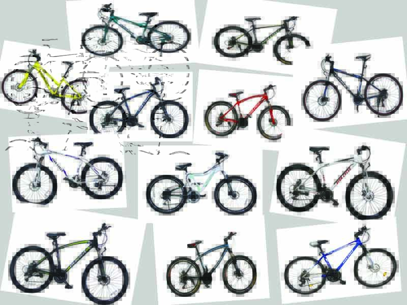 Vivacycle Lounge