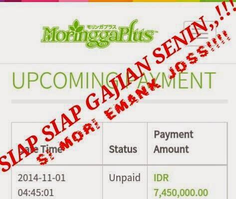 MoringgaPlus Bisnis Baru dengan Ratusan Downline dalam 1 hari, FREE PENDAFTARAN!!!
