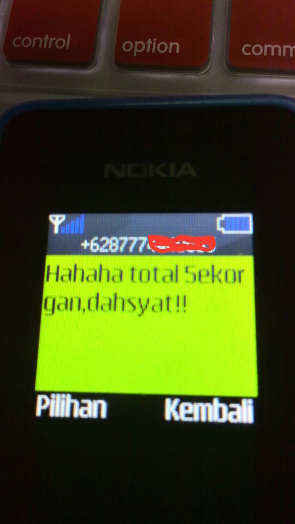 racun tikus mao wang asli