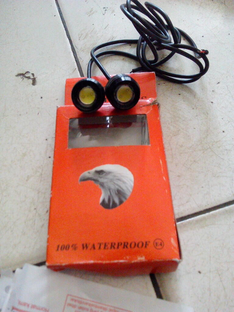 lampu eagle eyes