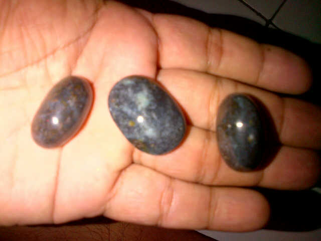 obral bacan palamea kembar murah