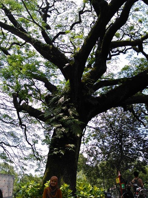 Taman-Taman di Bandung