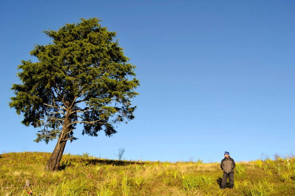 &#91;Nature&#93; : 25 Foto Pohon Menakjubkan Yang Belum Pernah Agan Lihat Sebelumnya