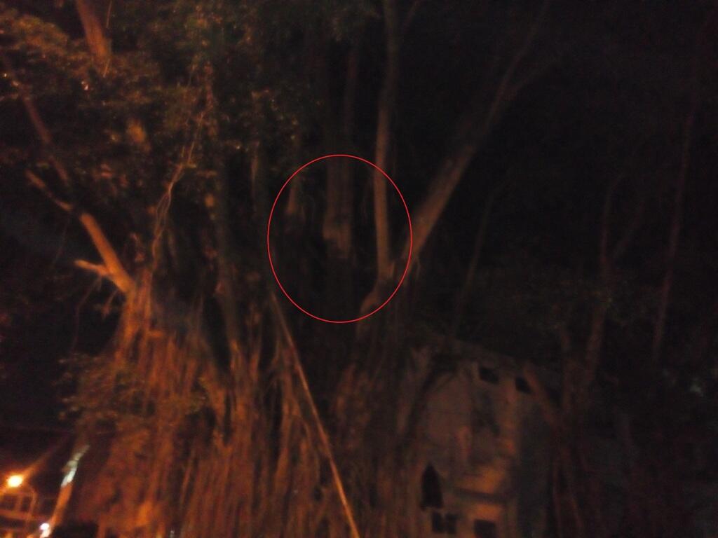 &#91;ASK&#93; foto penampakan ini asli ato kaga gan? 
