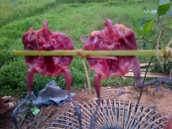 Karena daging ayam, sapi, kambing sudah terlalu mainstream :D