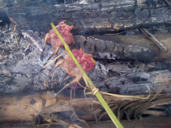 Karena daging ayam, sapi, kambing sudah terlalu mainstream :D