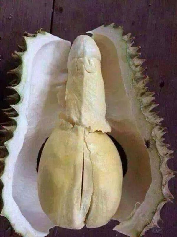 Apakah Anda suka agan suka Durian (ini). Mirip Barang agan 