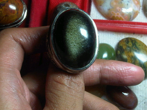 Batu bulmon afrika,batu teratai