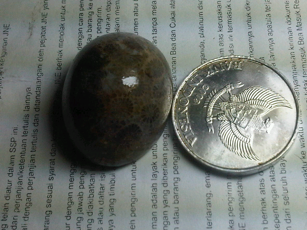 Batu bulmon afrika,batu teratai