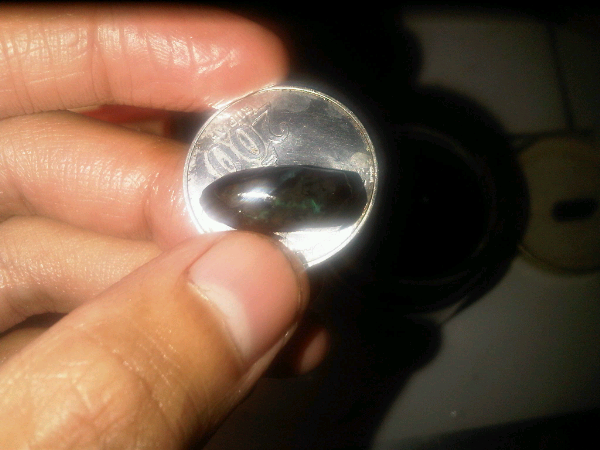 Batu bulmon afrika,batu teratai