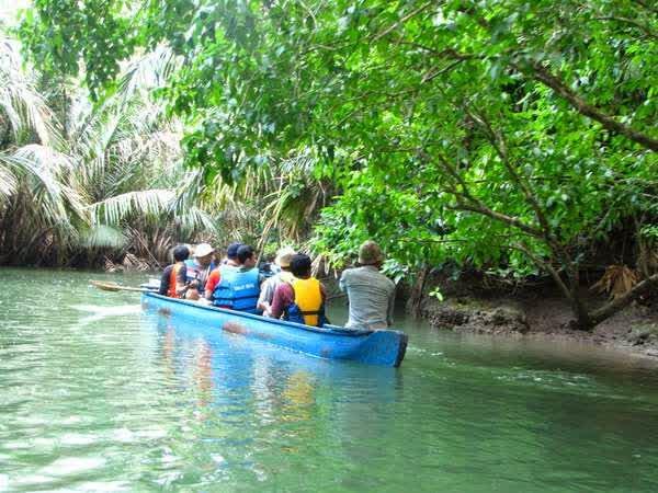 5 Hutan Paling Liar Di Indonesia