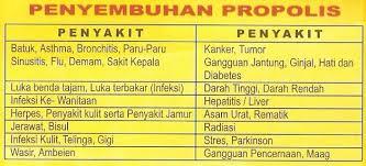 agen propolis mns