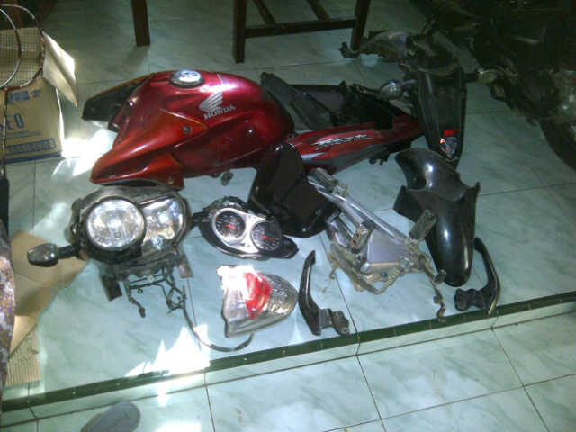part body tiger revo