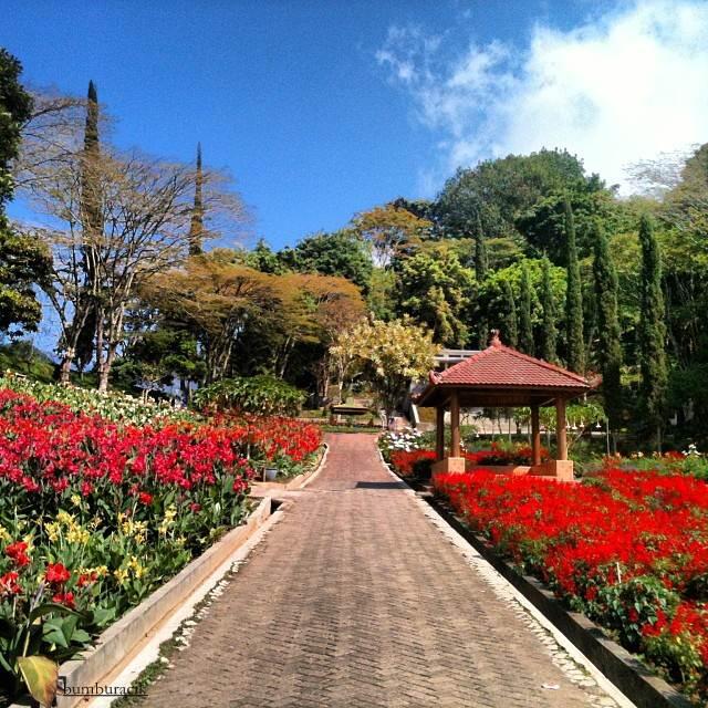 &#91;FR&#93; Jalan-jalan ke Kota Wisata Batu dan sekitar