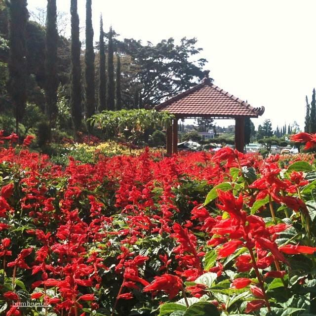 &#91;FR&#93; Jalan-jalan ke Kota Wisata Batu dan sekitar