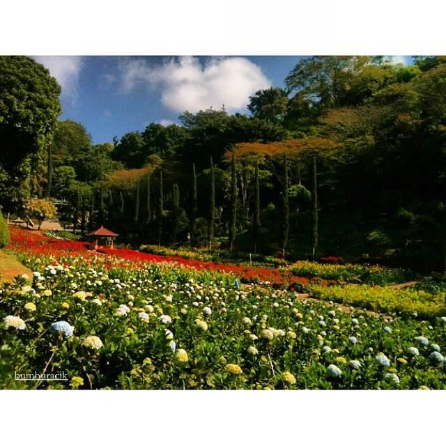 &#91;FR&#93; Jalan-jalan ke Kota Wisata Batu dan sekitar