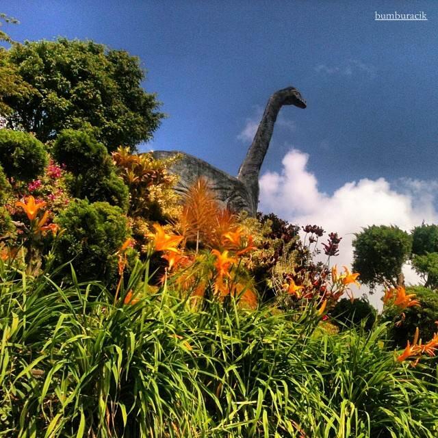 &#91;FR&#93; Jalan-jalan ke Kota Wisata Batu dan sekitar