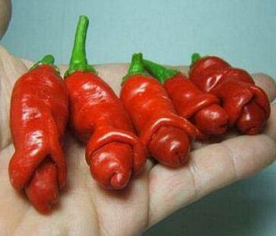 Sayuran dengan bentuk ga biasa