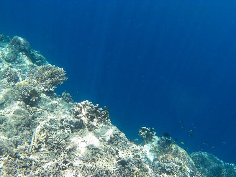 Surga dari Indonesia - Derawan