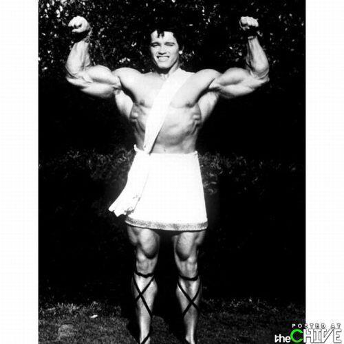 Arnold Schwarzenegger DARI MASA KE MASA