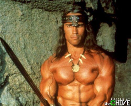 Arnold Schwarzenegger DARI MASA KE MASA