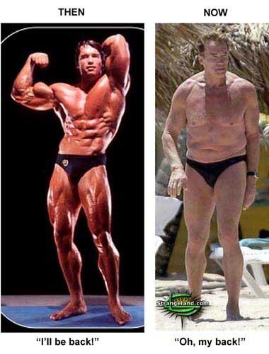 Arnold Schwarzenegger DARI MASA KE MASA