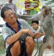 Anda stres ?? Disini obat nya