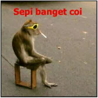 Anda stres ?? Disini obat nya